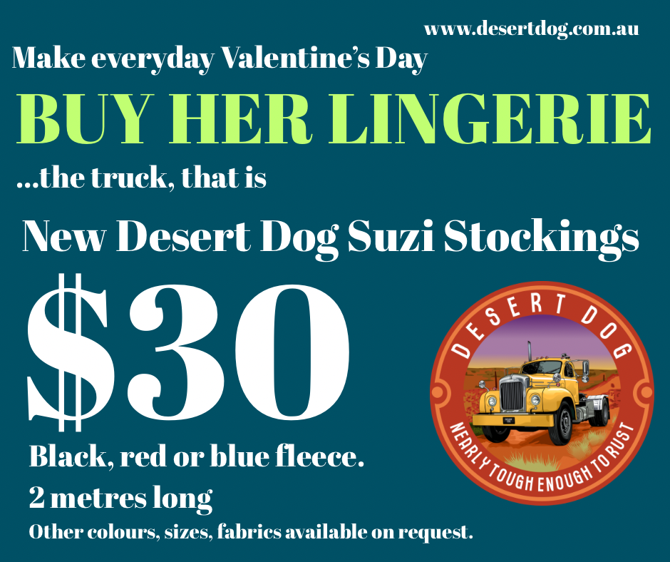 Suzi Stockings - FLEECE