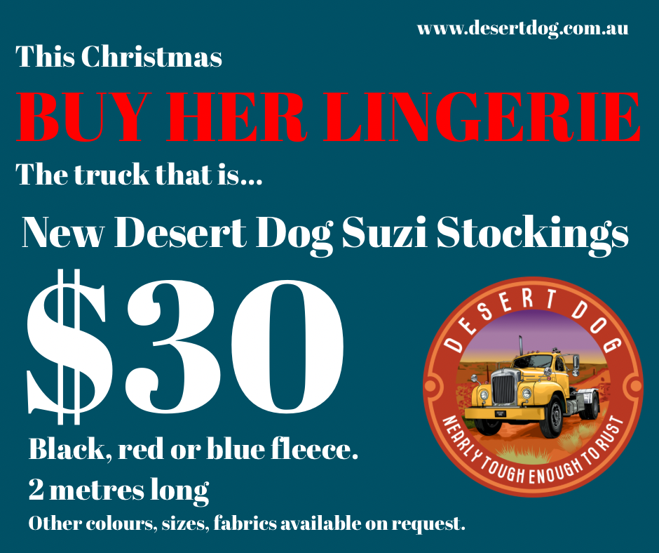 Suzi Stockings Pre-order